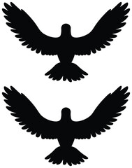 white dove flying silhouette illustration