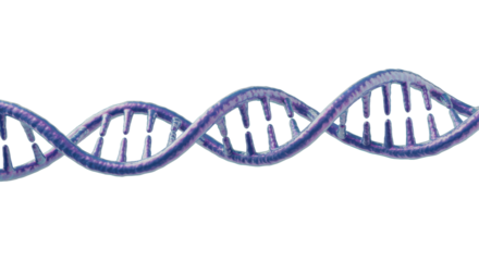 Isolated Holographic DNA Strand with Reflective Sheen
