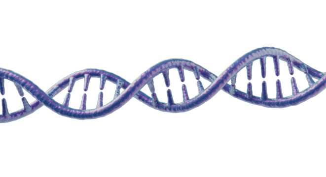 Isolated Holographic DNA Strand with Reflective Sheen