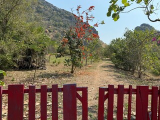 barrière de bois peinte en rouge délimitant un terrain dans la campagne thaïlandaise
