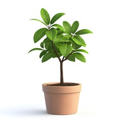 Fototapeta premium Small Green Plant in Brown Pot 3D Render