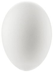 White chicken egg isolated on a transparent background. Completely in focus. Focus stacking.