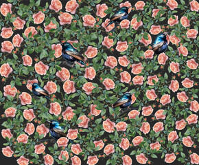 Floral arrangement, pink rose on a black background.