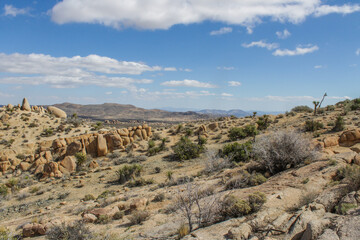 Joshua Tree National Park