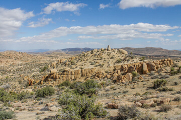 Joshua Tree National Park