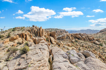 Joshua Tree National Park