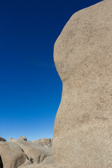 Joshua Tree National Park