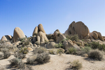 Joshua Tree National Park