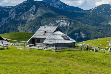 Obraz premium Velika Planina, Kamnik, Slovenia. Lord of the Rings style village. Wooden typical houses, hills, green meadows, flowers where cows and calfs graze. High quality artisanal milk and cheeses. Holiday.