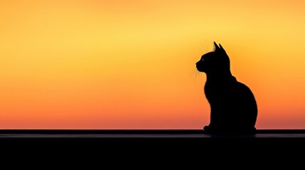 Silhouetted Black Cat at Sunset Peaceful Evening Feline Shadow Golden Hour Animal Wildlife