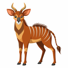 Fototapeta premium Wild Animal standing in a playful pose