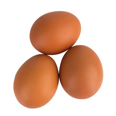 egg duck isolated on white background