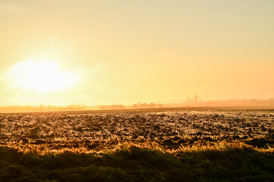 A country road in the morning, leading through a green meadow toward a dense, sunlit wall of fog on the horizon; a rural idyll bathed in the warm light of sunrise