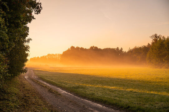A country road in the morning, leading through a green meadow toward a dense, sunlit wall of fog on the horizon; a rural idyll bathed in the warm light of sunrise