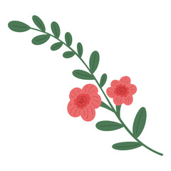 Simple hand drawn long plant branch with leaves and pink flowers in simple naive style. Floral vector element isolated on transparent background