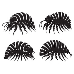 Timeless Giant Isopod silhouette, a design rooted in evolution - Isopod illustration - Minimalist Giant Isopod vector - Deep-sea creature silhouette
