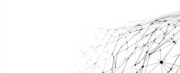 A white background with a black and white pattern. The pattern is made up of many small dots