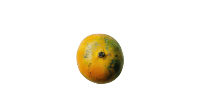 Ripe mango rotating on transparent background, perfect for compositing