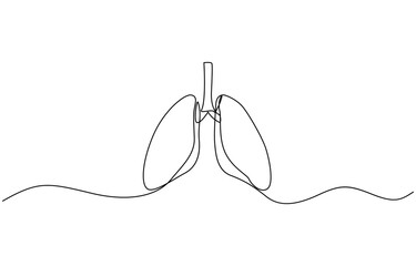 One continuous line drawing of lungs . single line lung concept, Continuous single line drawing of anatomical human lungs organ medical internal anatomy concept one line design.