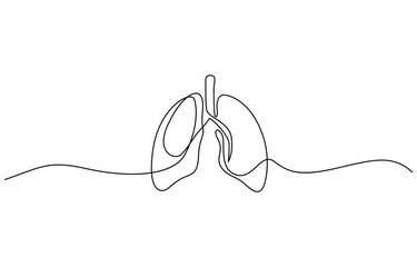 One continuous line drawing of lungs . single line lung concept, Continuous single line drawing of anatomical human lungs organ medical internal anatomy concept one line design.