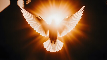 Majestic Dove in Flight Surrounded by Glowing Sunlight and Radiant Rays in a Serene Atmosphere