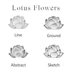 monoline vector illustration lotus flower sketch negative space.