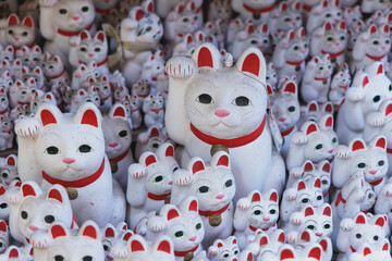 Gotokuji Temple in fall sunny day, Daikeizan Gotoku-ji in Setagaya ward, Tokyo, Japan, buddhist temple, Maneki-neko temple, with beckoning cat figurine toys, temple with japanese fortune lucky cats