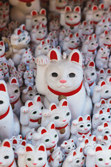 Gotokuji Temple in fall sunny day, Daikeizan Gotoku-ji in Setagaya ward, Tokyo, Japan, buddhist temple, Maneki-neko temple, with beckoning cat figurine toys, temple with japanese fortune lucky cats