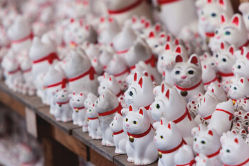 Gotokuji Temple in fall sunny day, Daikeizan Gotoku-ji in Setagaya ward, Tokyo, Japan, buddhist temple, Maneki-neko temple, with beckoning cat figurine toys, temple with japanese fortune lucky cats