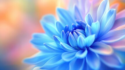 Obraz premium A soft-focus, close-up shot reveals the intricate beauty of a blue abstract dandelion flower, its delicate petals swirling in a symphony of color, against a blurred background, emphasizing the