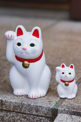 Gotokuji Temple in fall sunny day, Daikeizan Gotoku-ji in Setagaya ward, Tokyo, Japan, buddhist temple, Maneki-neko temple, with beckoning cat figurine toys, temple with japanese fortune lucky cats