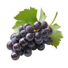 Fototapeta premium a cluster of dark purple grapes with a green leaf. showcasing their fresh and juicy appearance. ideal for culinary use or as a healthy snack
