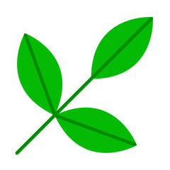 Leaf flat icon