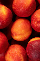 a small harvest of ripe washed nectarines in drops