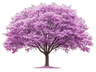 Obraz premium Enchanting purple tree with lush foliage, a serene nature landscape majestic