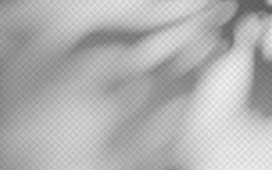 Abstract shadow overlay from foliage on a transparent background.