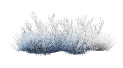 White Fluffy Coral Reef on Transparent Background, PNG
