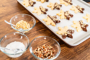 Making Cutout Sugar Cookies, Chocolate-Dipped, Hazelnut-Sprinkled