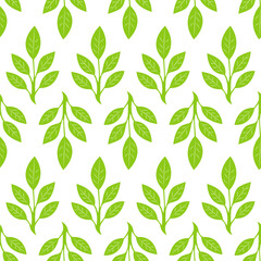 Seamless pattern green leaves. Flat vector template. Vector illustration