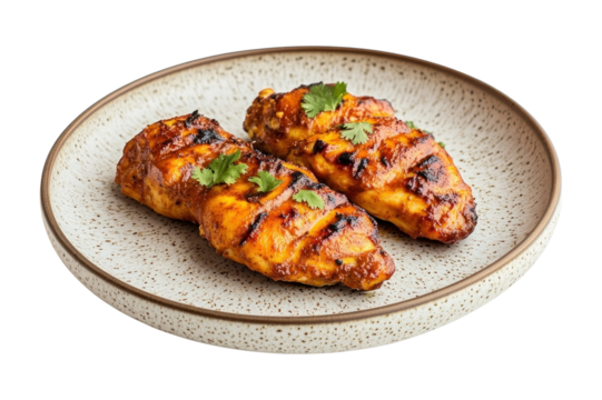 PNG One dish of indian tandoori chicken ceramic plate food.