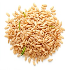 Obraz premium Brown rice, uncooked and hulled, isolated on white, top view isolated on white background 