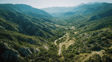A picturesque wilderness scene with a mountainous terrain and a dirt road that invites exploration.