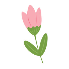 Simple hand drawn stylized tulip flower, naive childish pink spring bloom. Cute isolated vector clipart for Easter, 8 March, and spring design