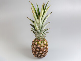 Fototapeta premium Whole fresh pineapple on a gray background