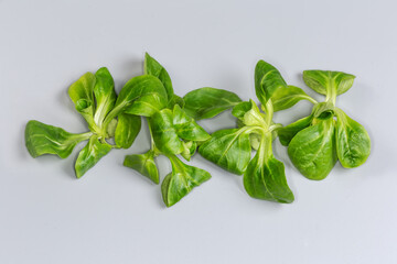 Fresh leaves of cornsalad on a gray surface close-up