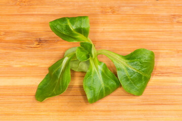 Fresh leaves of cornsalad on wooden cutting board close-up