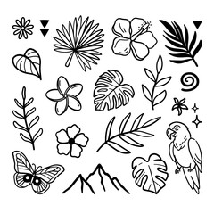 Vector tropical doodels. Exotic plants and parrot. Summer doodles