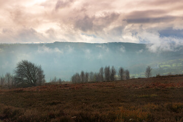 Low lying clouds and morning sunlight, Hamsterley Forest, County Durham, England, UK.