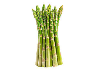 Fresh organic asparagus