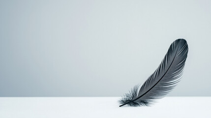 Minimalist funeral service. Black feather resting on a minimalist surface against a light background.